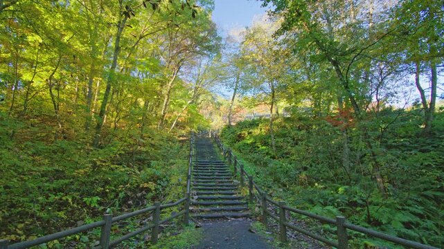 紅葉の名所 秋の鳴子峡の風景　Autumn scenery of Naruko Gorge, a famous spot for autumn foliage.