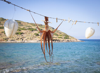 An octopus hanging on a clothesline for drying in the sun. Greek island of Crete. © Andreas Prott