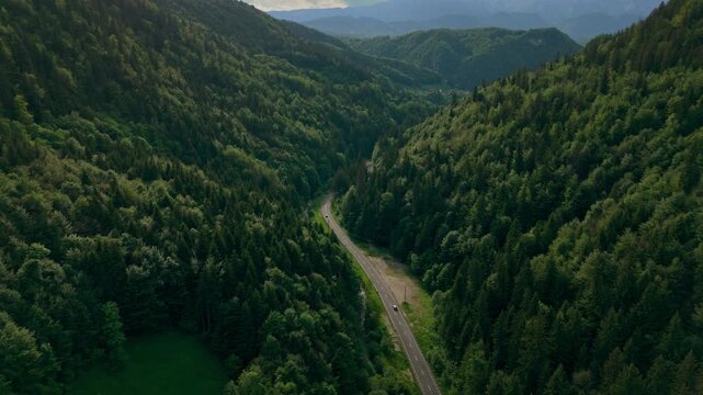 Aerial drone footage of a scenic countryside road winding through dense green forests and mountain valleys in Romania at sunset. Peaceful rural landscape with lush trees, rolling hills, and a remote r