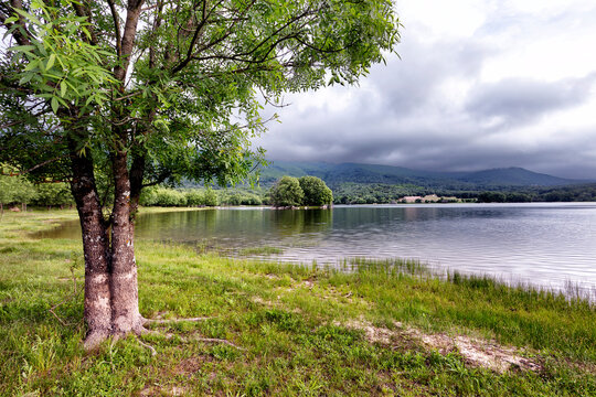 Serenidad en el panatano de Los Morales