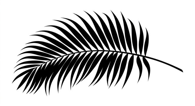 Black palm leaf, tropical vector icon, palm tree silhouette, leaf illustration isolated on Transparent Background