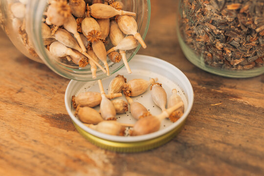 Dried poppy seed pods spilling from a glass jar into lid