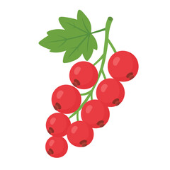 Obraz premium Bright berry branch with red fruits and green leaf, simple soft flat vector clipart.