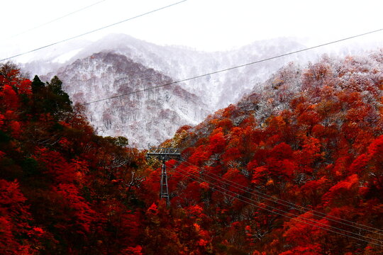 群馬県 みなかみ町の谷川岳ロープウェイ（谷川岳ヨッホ）