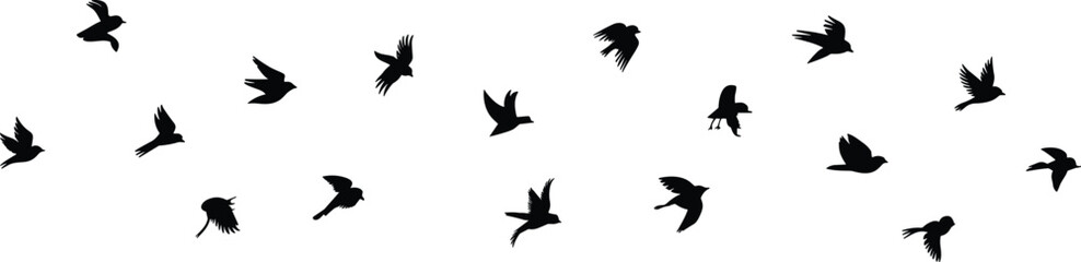 Obraz premium Flock of Birds Silhouettes Flying in Different Poses on White Background untitled