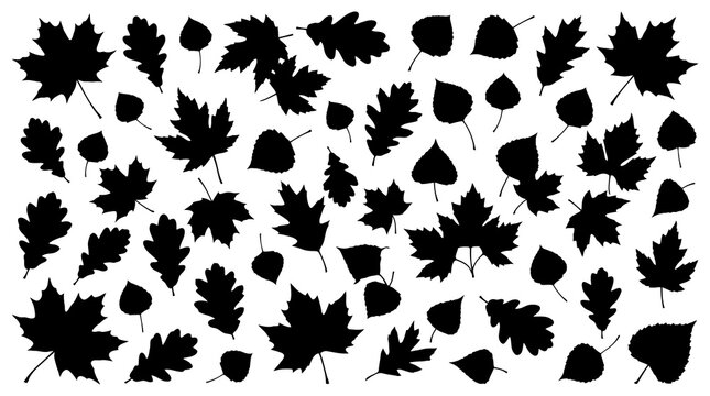 Autumn Leaf Silhouettes Pattern