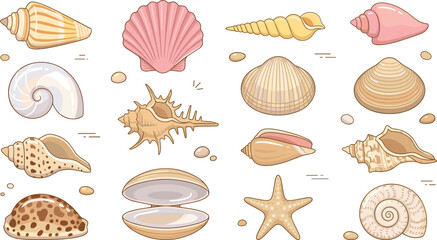 Beautiful sea shell collection vector set featuring colorful beach seashells starfish clam scallop spiral conch and snail shells isolated on white background © MdJaynal