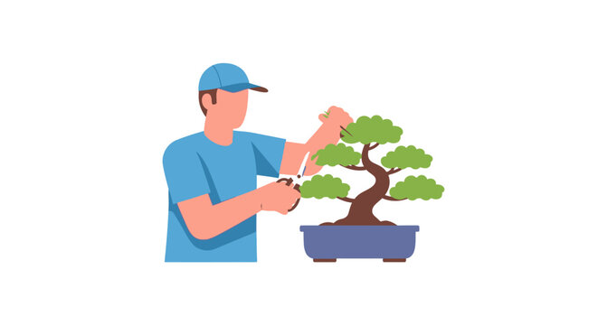 Person carefully pruning a decorative bonsai tree plant.