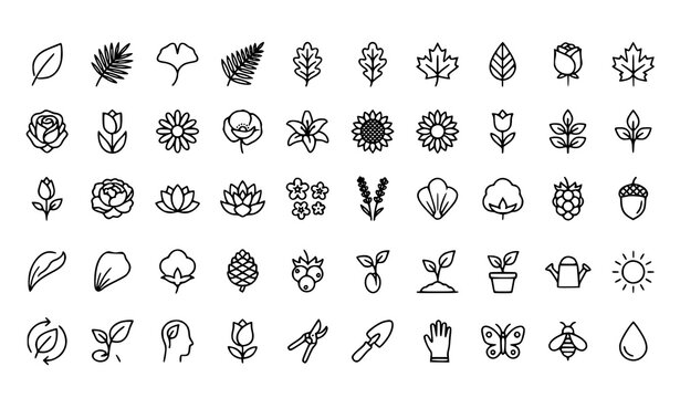 Leaf and Flower Modern Icons Vector Set for Web Apps and Infographics
Keywords