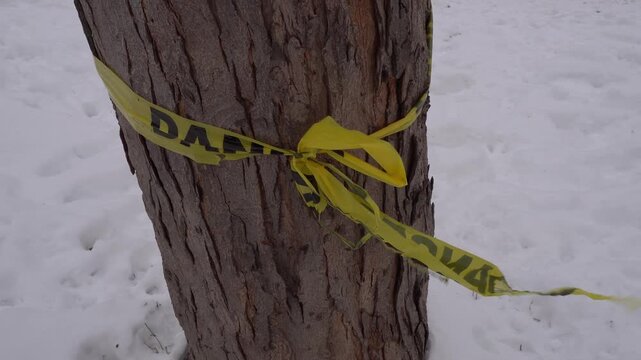 Yellow caution tape wrapped around a tree trunk in a snowy environment