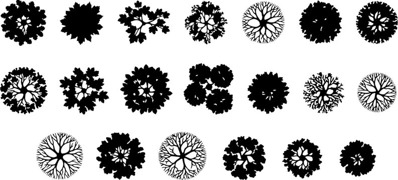 Collection of top-down silhouette illustrations of various deciduous trees