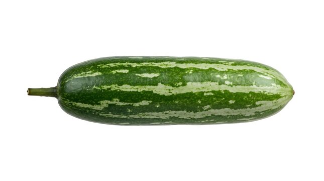 Fresh pointed gourd isolated on white background, raw green striped parwal vegetable, organic trichosanthes dioica for healthy cooking