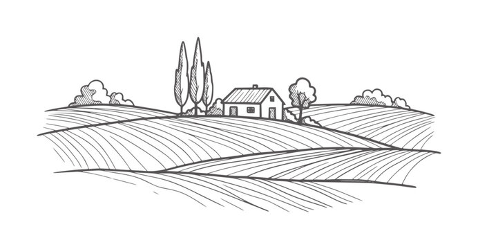 Hand drawn of a rural landscape with rolling fields and a house hills