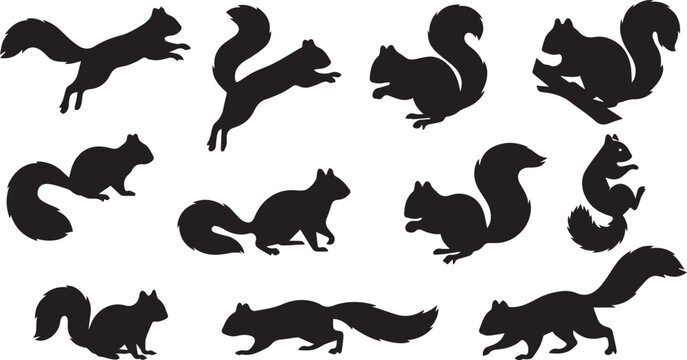 collection of black squirrel silhouettes in various poses and movements