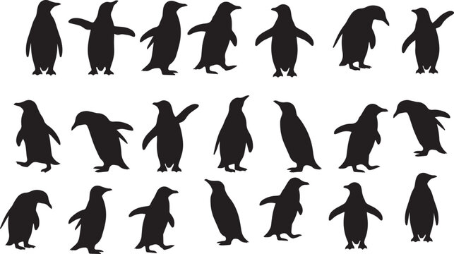 black silhouettes of penguins in various poses on white background