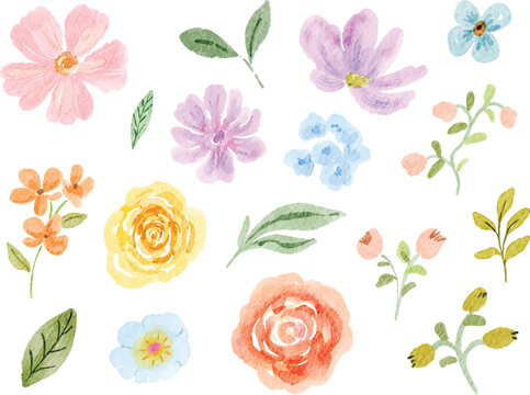 Watercolor Flower Collection Illustration