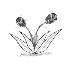 Fototapeta premium Hand drawn botanical rose sketch illustration, vintage floral line art element for organic product packaging