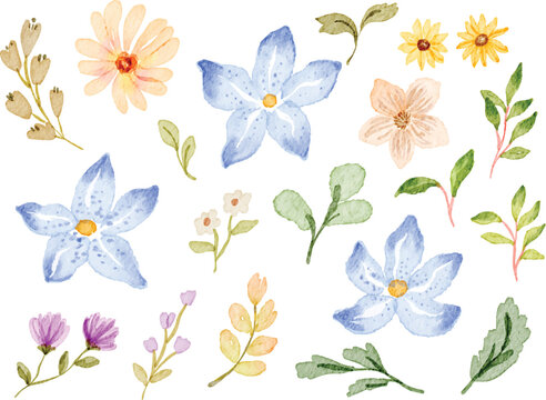 Watercolor Flower Collection Illustration