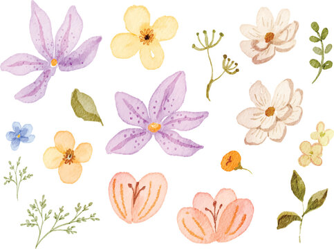 Watercolor Flower Collection Illustration
