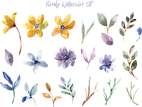 Watercolor Flower Collection Illustration
