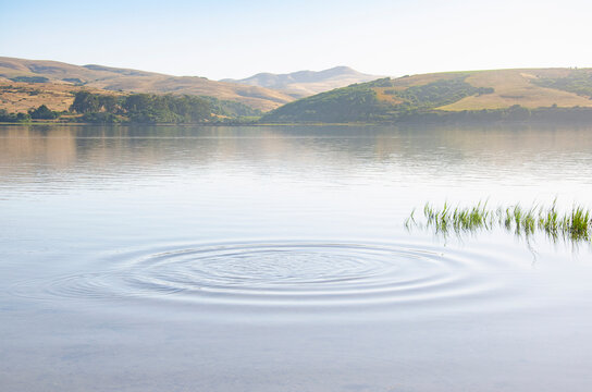 Ripples on calm water surface