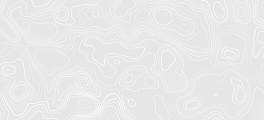 Black and white Topographic map like abstract backdrop. Fractal lines, organic pattern print, Seamless earth line, Wavy lines shaped like the contours of the land, geographic grid map, mountain, area. © Alfin