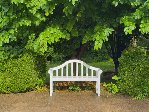 Empty white park bench and trees