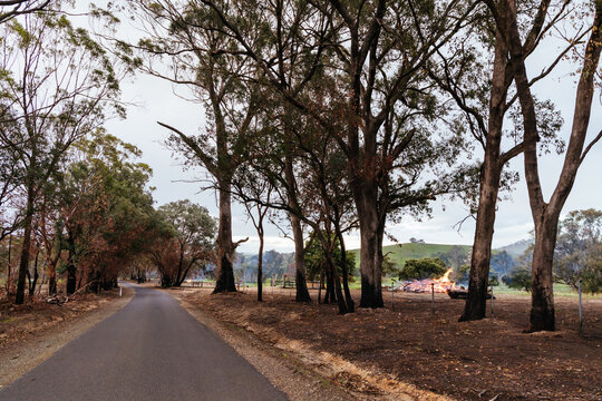 GOBUR, AUSTRALIA - APRIL 11 2026: Bushfire damage around the town of Gobur and the Maroondah Hwy