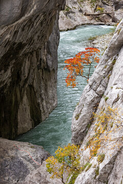 Verdon River crossing Verdon Gorge