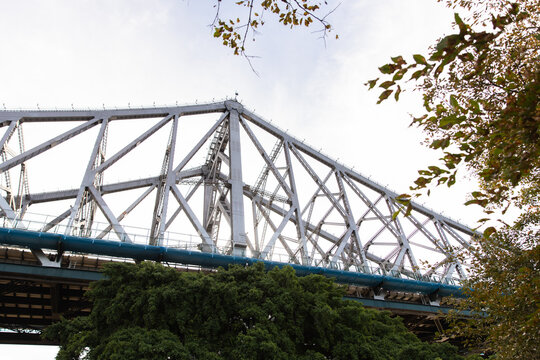 looking up at part of the Story Bridge through the trees from Captain Burke Park