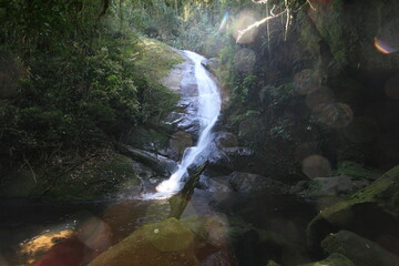 Long exposure forest cascade with lens flare © Thomas