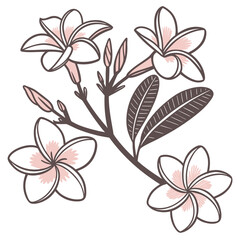 Obraz premium Pink and brown floral illustration with delicate petals and leaves illustration graphics