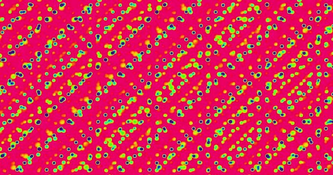 Abstract microscopic pattern with pulsing colorful dots on a vibrant green background, digital motion background with repeating biological cell structure.