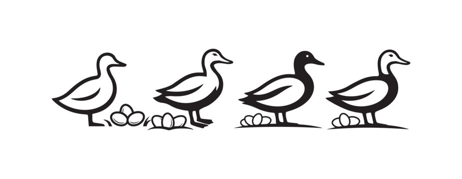 Duck Family and Eggs Minimalist Line Art Print