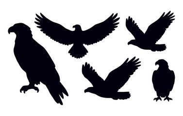 Fototapeta premium Eagle Wings Spread Hawk Sketch Illustration Set