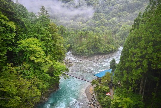 付知峡・狭吊橋を渡る清流と深緑の渓谷風景  
Scenic view of the lush green valley and clear river at Seba Suspension Bridge near Tsukechi Gorge
