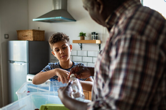 Boy helping senior recycle plastic bottles in a home kitchen