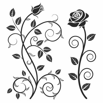 Elegant black and white rose vine illustration with leaves and swirls, floral design