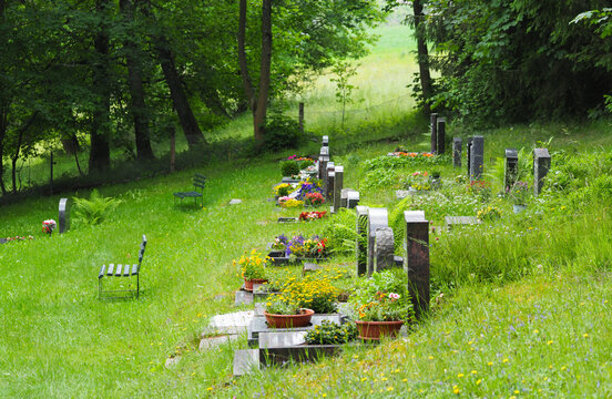 Friedhof im Fr&uuml;hsommer