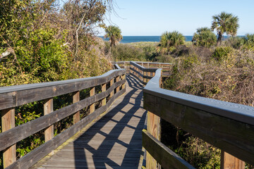Obraz premium Wooden boardwalk leads to ocean view. Sunlight casts long shadows on planks. Palm trees dot the coastal vegetation. Dense foliage borders the walkway. Clear sky above the distant sea