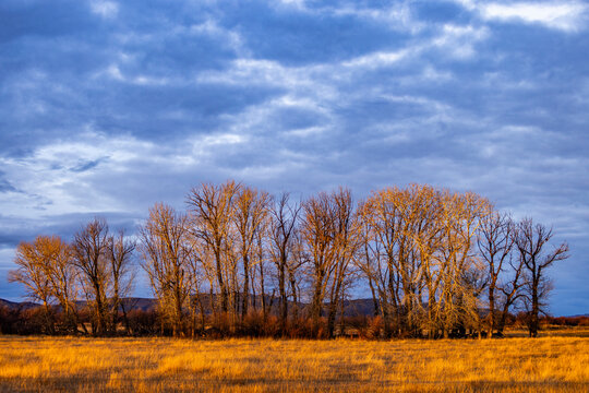 Clouds above field with trees at sunset