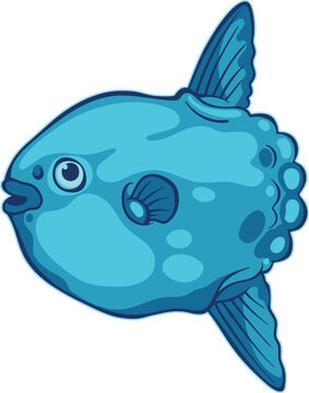 Simple stylized vector illustration of a moonfish.Mola mola