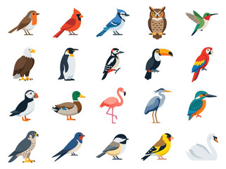 Obraz premium A collection of various colorful bird species illustrated in a flat vector style.