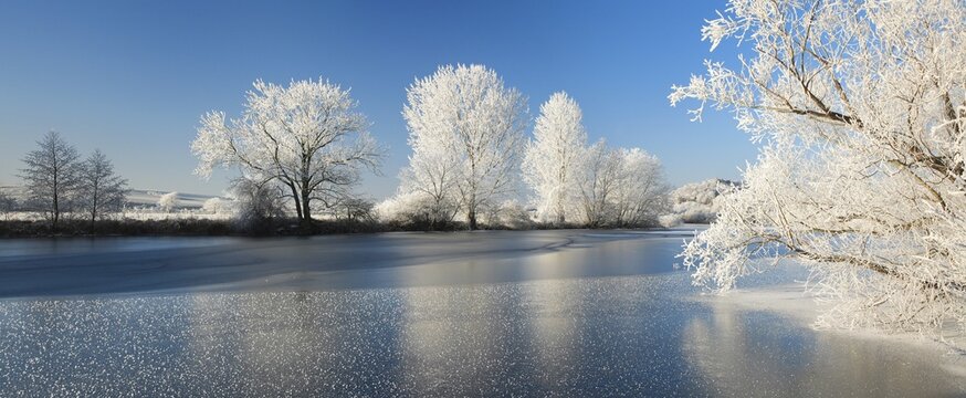 Half-frozen small lake in winter, arm of the Saale, trees with snow and hoarfrost on the shore, ice crystals in the foreground, Lower Saale Valley nature park Park, Halle, Saxony-Anhalt, Germany