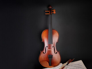 violin on black background © 路阳