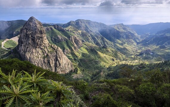 View of the Roque de Agando rock tower and the Barranco de Benchijigua gorge from the Mirador del Morro de Agando. Sow thistle (Sonchus hierrensis) in the foreground. During the day, sun and clouds, good weather. Monumento Natural de Los Roques, Reserva Natural Integral Benchijigua, La Gomera, Canary Islands, Spain