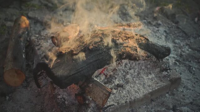 Mountain Campfire in the Early Morning Light