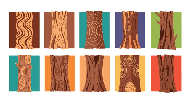 A collection of ten distinct tree trunk textures and bark patterns, showcasing various wood grains and natural designs.