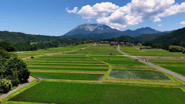 Ascending Over the Rice Fields Beneath Mount Daisen