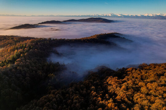 Aerial view of autumn forests on rolling hills partially covered by thick fog with the snow-capped Alps in the background in Superga, Piemonte, Italy.